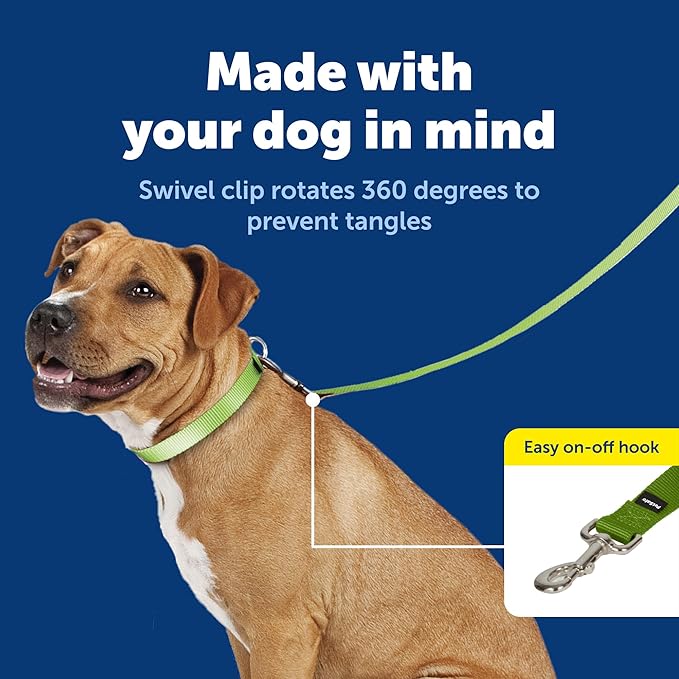 PetSafe Nylon Dog Leash - Strong, Durable, Traditional Style Leash with Easy to Use Bolt Snap - 3/4 in. x 6 ft., Apple Green | Durable Nylon Leash with Easy on/off Bolt Snap Hook, Pairs Perfectly with Easy Walk Harness and Gentle Leader Headcollar