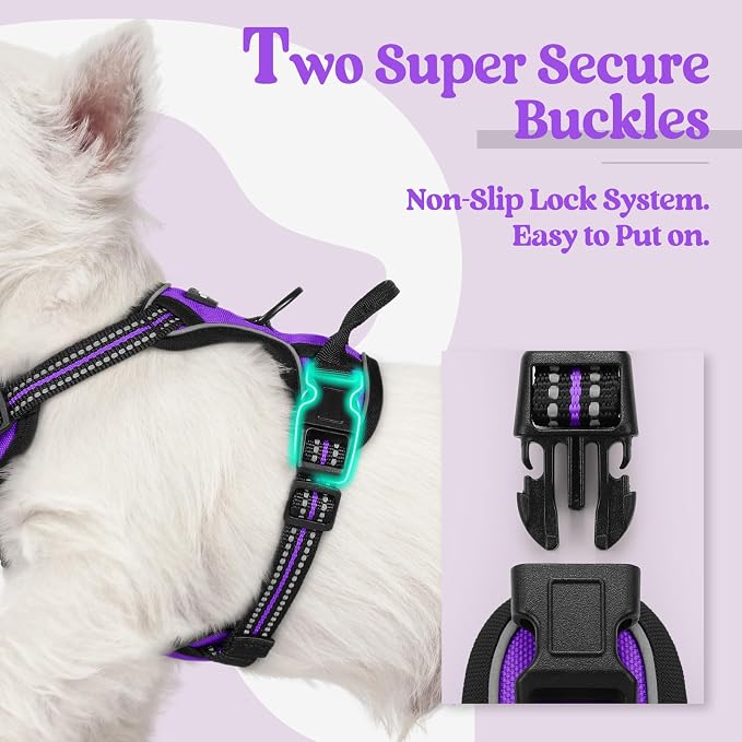 rabbitgoo Dog Harness No Pull with 2 Leash Clips, Adjustable Soft Padded, Reflective Oxford No Choke Pet Vest with Easy Control Handle for Puppy, Purple,XS | No Choke with Handle, Adjustable Soft Padded, Reflective, Easy Control for Walking, Purple, X-...