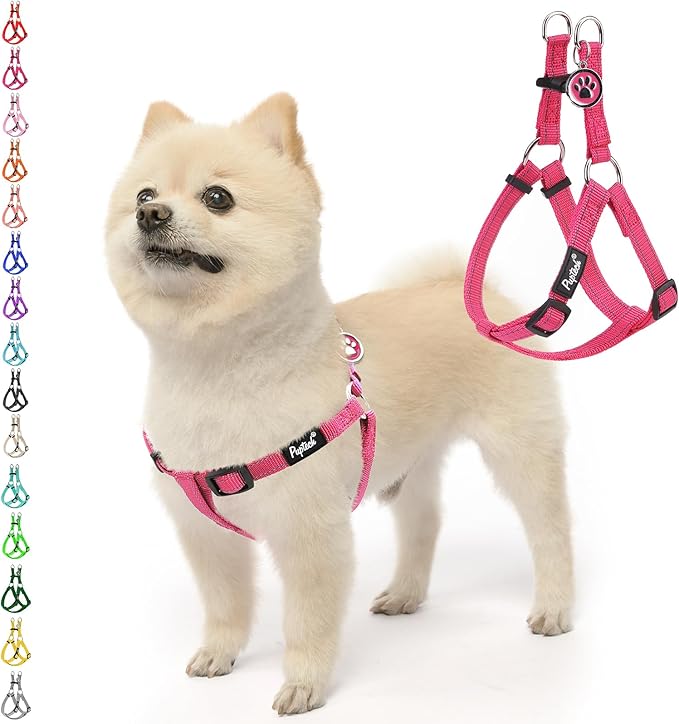 PUPTECK No Pull Dog Harness Small Sized Step-in Adjustable Puppy Vest | Soft Webbing Basic Halter with ID Tag for Outdoor Walking