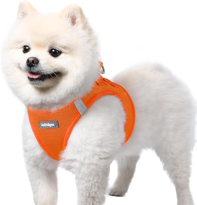 rabbitgoo Step-in Small Dog Harness, Puppy Vest for Small Sized Pet | Easy Put on and off, Lightweight, Soft, Breathable Quick-Dry Air Mesh for Comfortable Secure Walking, Orange S