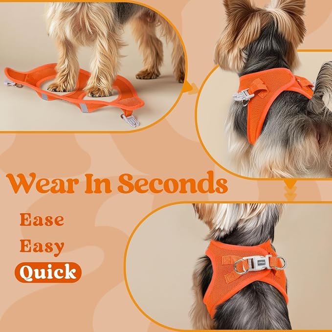 rabbitgoo Step-in Small Dog Harness, Puppy Vest for Small Sized Pet | Easy Put on and off, Lightweight, Soft, Breathable Quick-Dry Air Mesh for Comfortable Secure Walking, Orange S