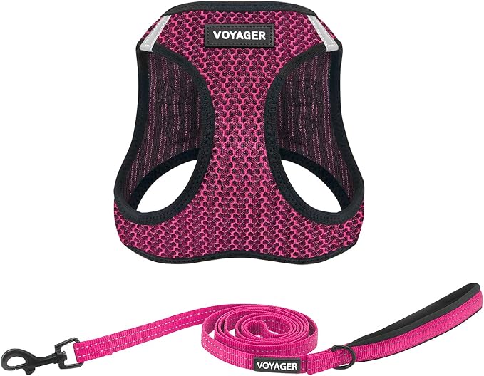 Best Pet Supplies Voyager Step-in Air All Weather Mesh Harness and Reflective Dog 5 ft Leash Combo with Neoprene Handle, for Small, Medium and Large Breed Puppies - Fuchsia (2-Tone), S