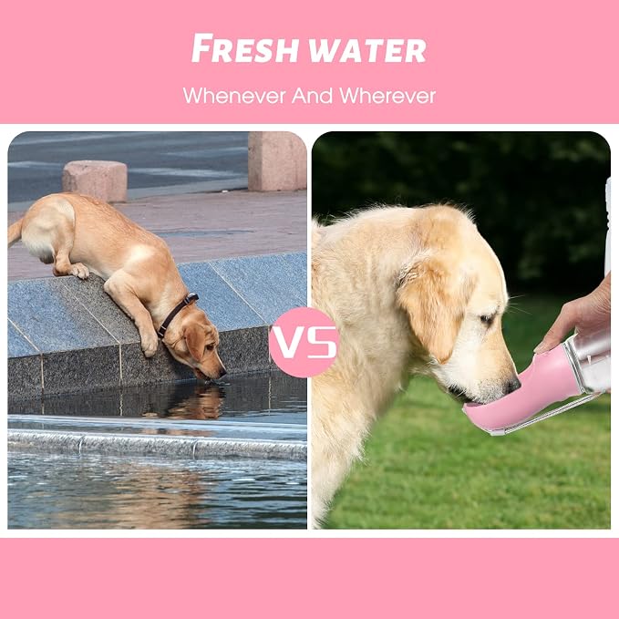 Kalimdor Dog Water Bottle, 19oz, Pink