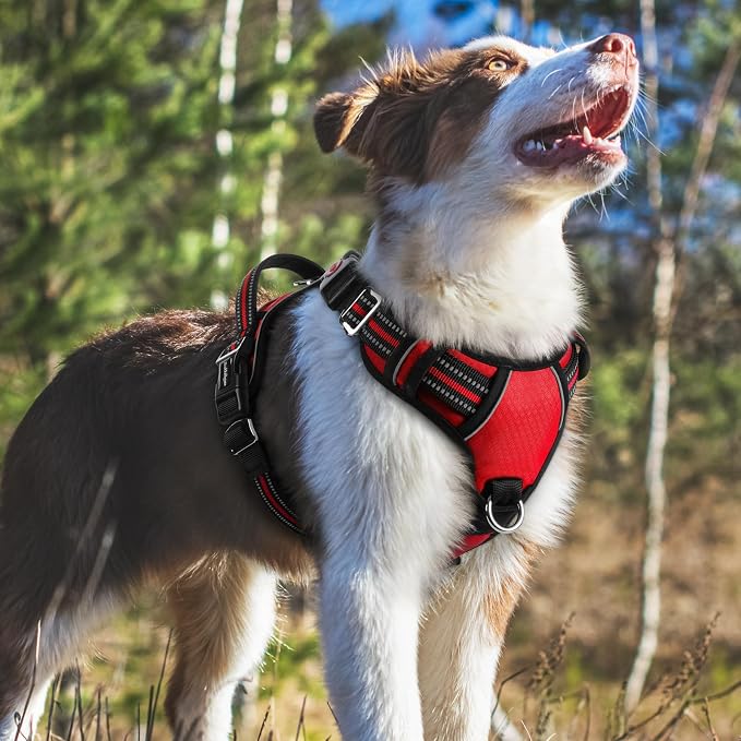 rabbitgoo Dog Harness Medium Sized, No Pull 3 Buckles Easy On & Off | Soft Padded, Walking with Control Handle, Adjustable and Reflective, Red, Medium