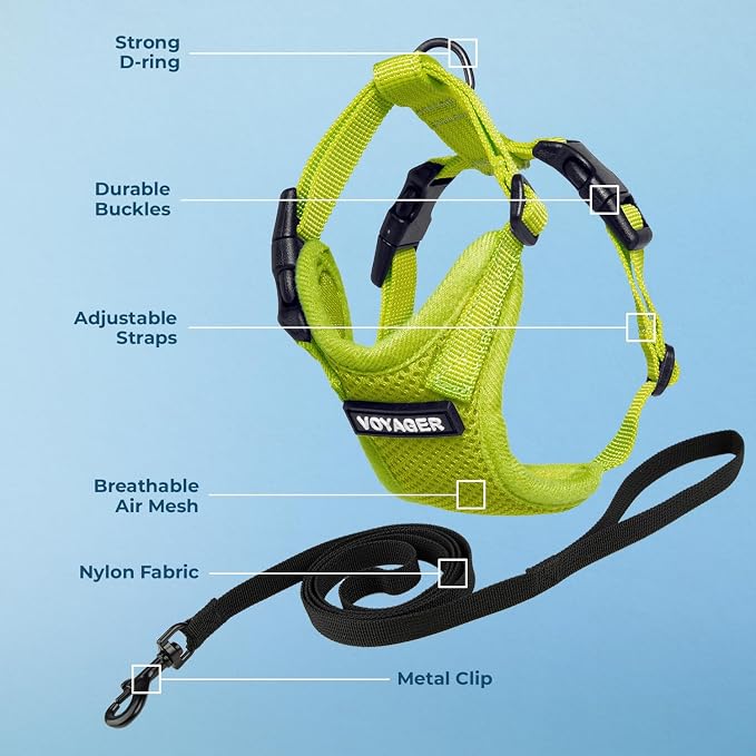 Voyager Escape-Proof Step-in Lock Cat Harness & 5ft Neoprene-Handle Leash Set All-Weather Mesh with Reflective Stitching for Small to Large Cats by Best Pet Supplies, Lime Green, S