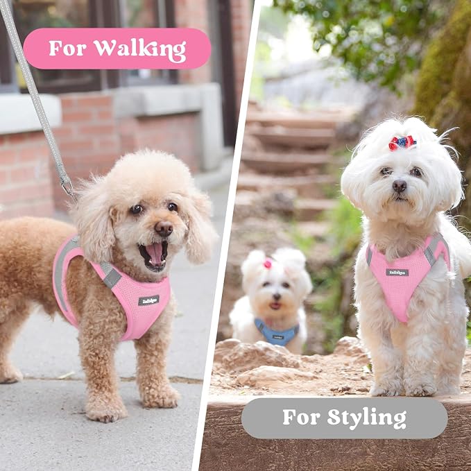 rabbitgoo Step-in Small Dog Harness, Puppy Vest for Small Sized Pet | Easy Put on and off, Lightweight, Soft, Breathable Quick-Dry Air Mesh for Comfortable Secure Walking, Light Pink & Gray M