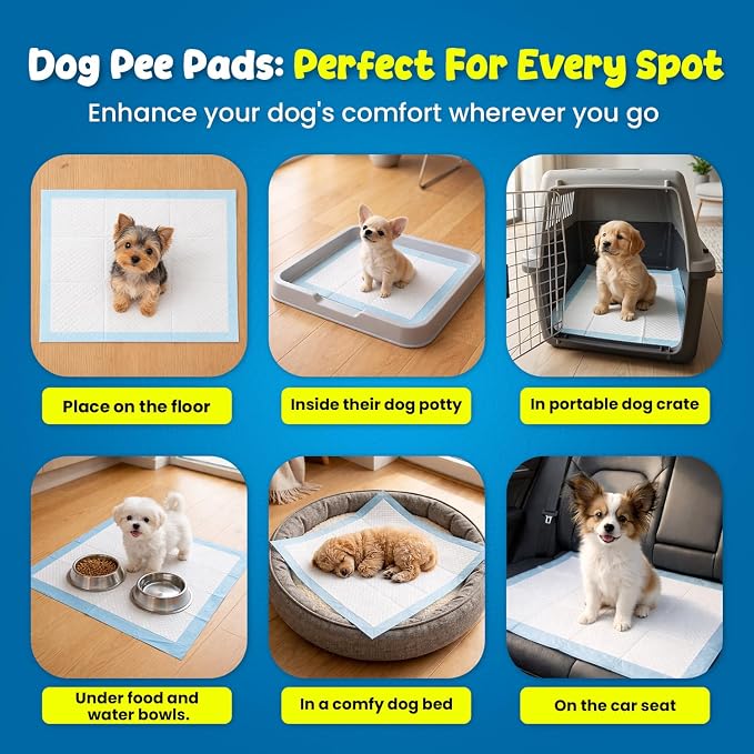 Kashmir FPN Pee Pads for Puppy and Dogs Training Pads (300 Count Pads) Heavy Duty Dog Pads, 5 Layer Pads for Instant Absorption (Blue) (13x18 Inches, 300)