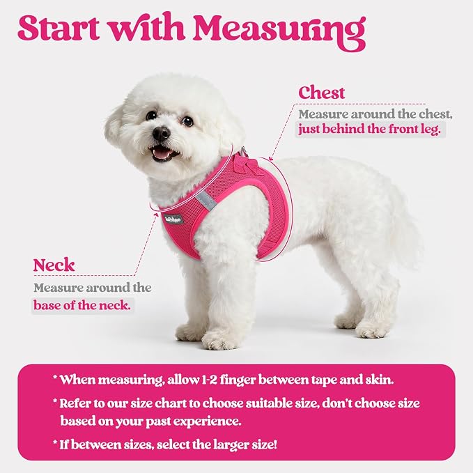 rabbitgoo Dog Harness Small Sized and Leash Set, Step-in Puppy Pet Vest | Light, Soft, Breathable Air Mesh, Easy on and Remove with Hook & Loop, Secure Reflective for Walking, Rose Red XXXS