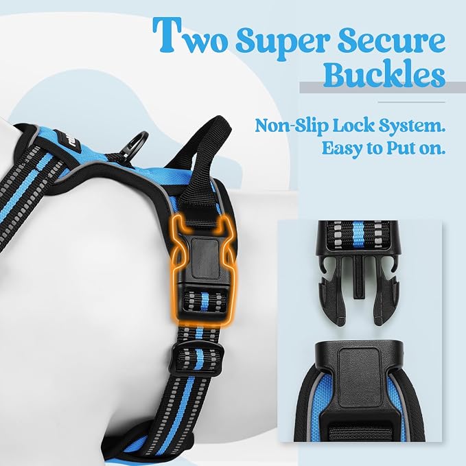 rabbitgoo Dog Harness, No Pull Medium Sized with 2 Leash Clips, Pet Vest | No Choke with Handle, Adjustable Soft Padded, Reflective, Easy Control for Walking, Blue, Medium
