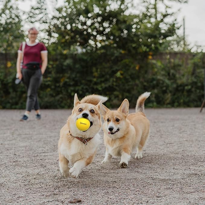 Dog Balls Indestructible, Solid Rubber Bouncy, Large Breed, Yellow