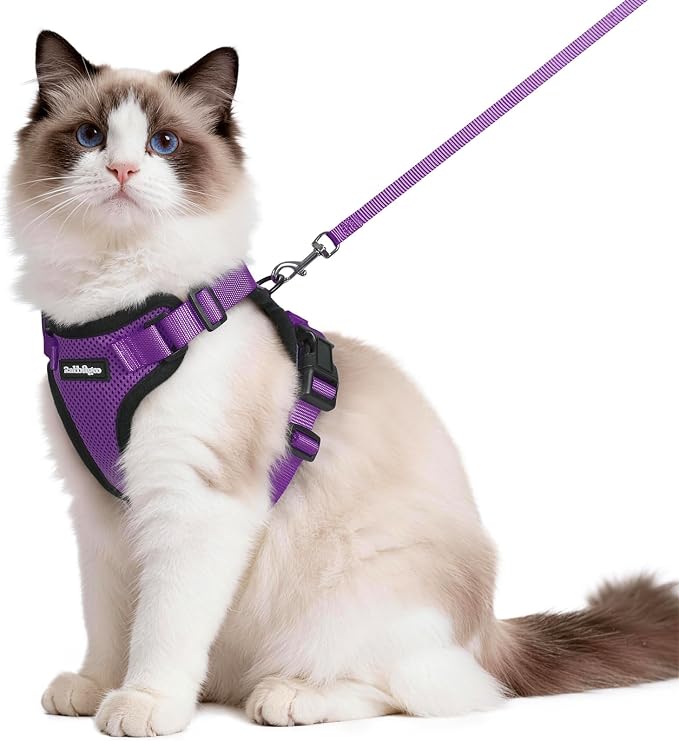 rabbitgoo Cat Harness and Leash Set, Escape Proof Vest, Purple | Soft Breathable Mesh, Easy Adjustable Fit, Snap Buckles, Sturdy Clip, Reflective Strips, for Medium to Large Cats Walks, M