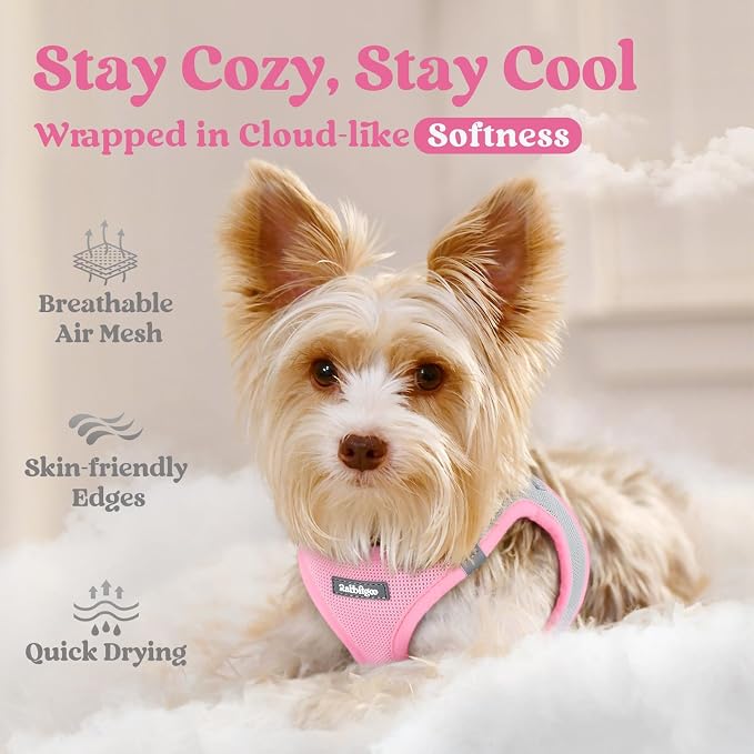 rabbitgoo Step-in Small Dog Harness, Puppy Vest for Small Sized Pet | Easy Put on and off, Lightweight, Soft, Breathable Quick-Dry Air Mesh for Comfortable Secure Walking, Light Pink & Gray XXS