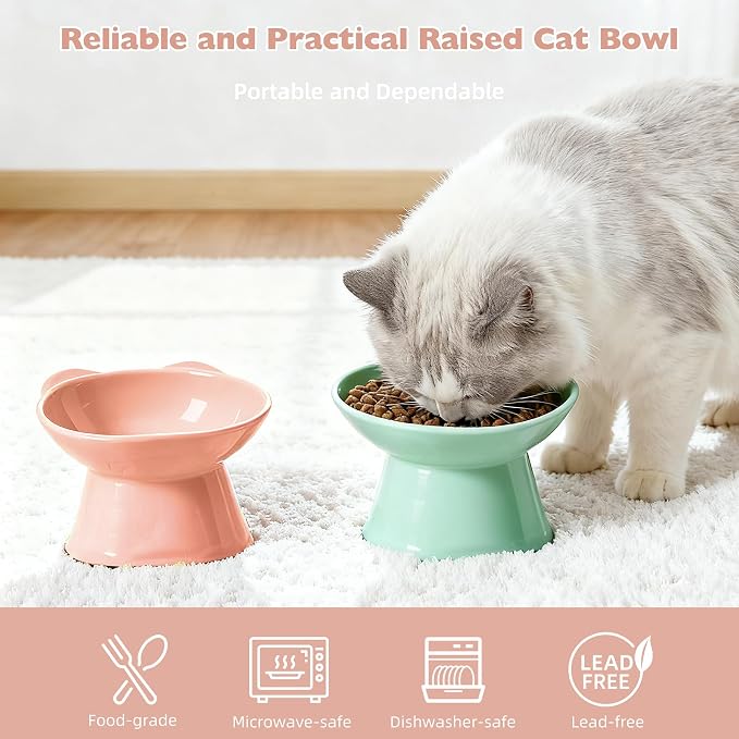 KSIA Klear Elevated Cat Bowls 2 Pack, Tilted Raised Cat Bowls for Indoor Cats, for Food and Water, 4.72" Wide, Whisker Friendly Anti Vomit for Indoor Cats, Microwave and Dishwasher Safe, Pink&Green