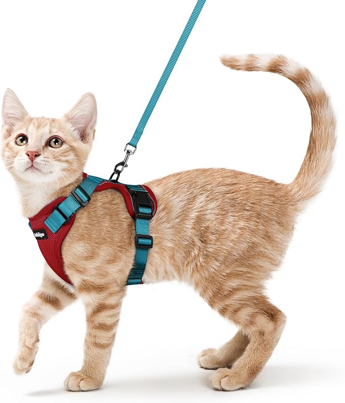 rabbitgoo Cat Harness and Leash Set, Escape Proof Vest, Red & Teal | Soft Breathable Mesh, Easy Adjustable Fit, Snap Buckles, Sturdy Clip, Reflective Strips, for Average Cats Walks, S