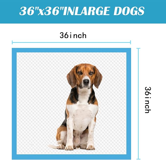 Extra Large Puppy Pads,36"x36" Pee Pads for Dogs,40 Count Training Dog Pee Pads Absorbent & Leak-Proof &Quick Dry,Disposable Pet Potty Pads for House Training Dogs Cats, Rabbits.