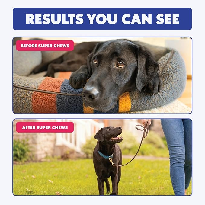 Super Chew, Advanced Hip and Joint Supplement for Senior Dogs, Full Body Support with Glucosamine, Chondroitin, DHA, Taurine, 120 Fish Flavored Soft Chews