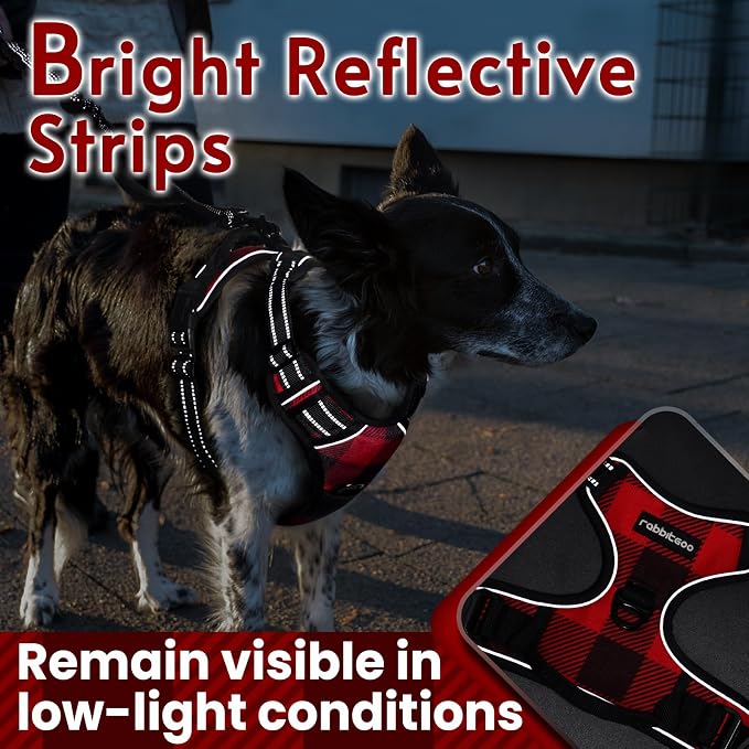 rabbitgoo Dog Harness, No Pull Medium Sized with 2 Leash Clips, Pet Vest | No Choke with Handle, Adjustable Soft Padded, Reflective, Easy Control for Walking, Red Plaid, Small
