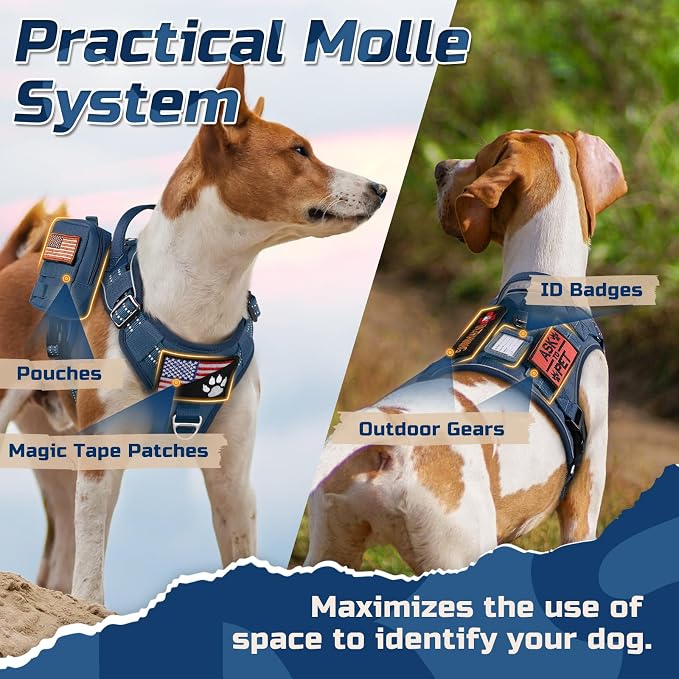 rabbitgoo Tactical Dog Harness for X-Large, No Pull Military Service Vest | Molle & Handle, Heavy Duty, Adjustable, Reflective Straps, Easy Control for Training Walking, Blue, X-Large