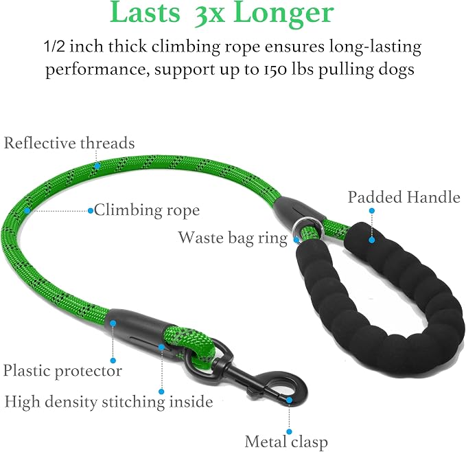 iYoShop Double Dog Leash, 360° Swivel, No Tangle, Large, 25-150lbs, Emerald | Dual Leash for Two Dogs, Split Leash, Shock-Absorbing Bungee, Padded Handle, Heavy-Duty Rope