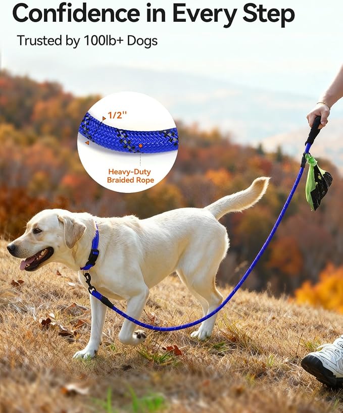 Joytale Rope Dog Leash for Medium Large Dogs, Padded Handle, 5FT, Navy Blue | Reinforced Nylon Webbing, Comfort Grip Eases Hand Strain, Swivel Clip Prevents Tangles, Visible at Night, for Outdoor Walks