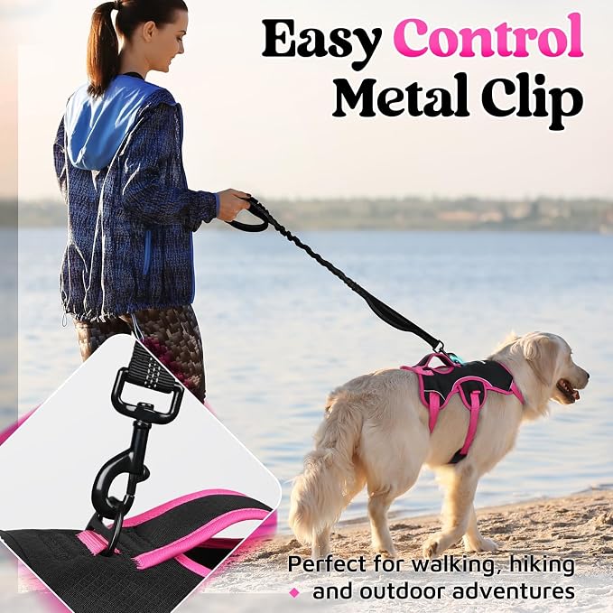 rabbitgoo Escape Proof Dog Harness for Large, No Pull with Lift Handle | No Escape, Full Soft Padded, Reflective Adjustable Vest, Leash Clip for Walking Hiking Training, Rose & Black, Large