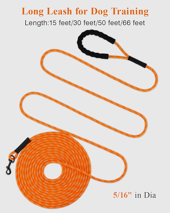 Taglory Long Dog Leash, 15FT 30FT 50FT 66FT, Training and Recall Leash with Comfortable Padded Handle for Large Medium Small Dogs Walking, Camping, Orange 30FT