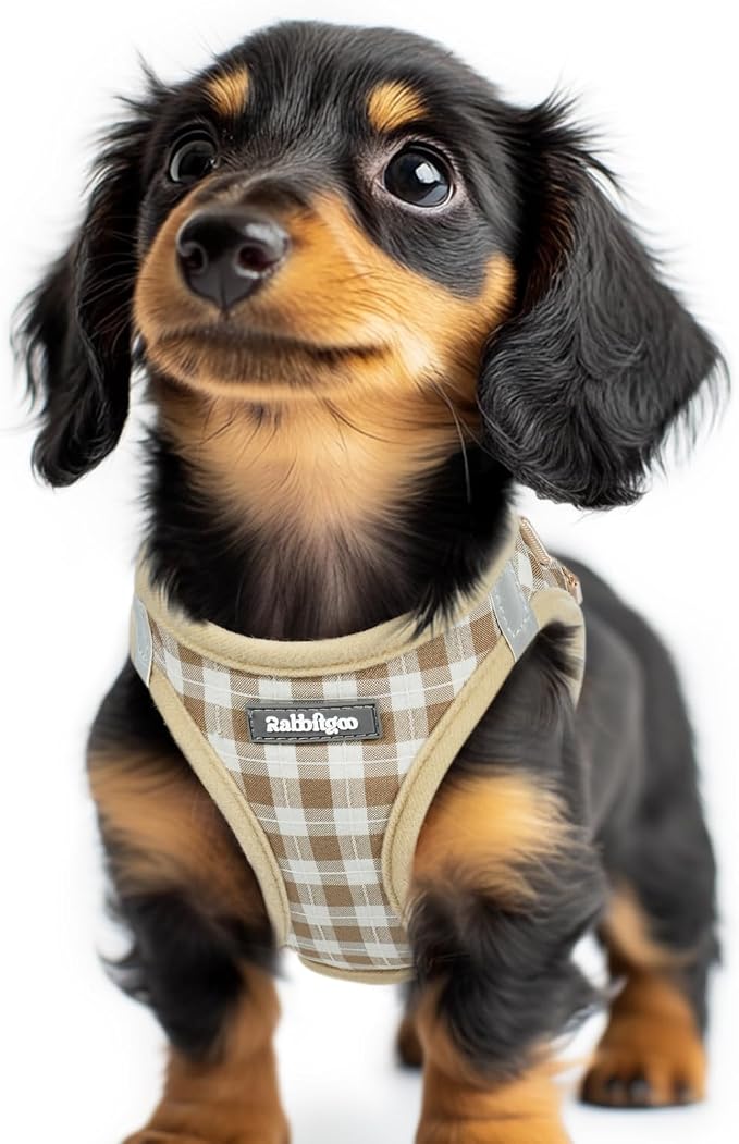 rabbitgoo Step-in Small Dog Harness, Puppy Vest for Small Sized Pet | Easy Put on and off, Lightweight, Soft, Breathable Quick-Dry Air Mesh for Comfortable Secure Walking, Beige Check XXS