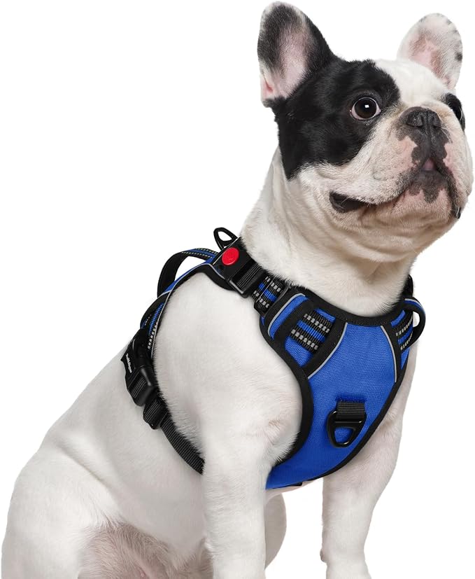 rabbitgoo Large Dog Harness, Easy Wear with 3 Buckles and Lift Handle | No Pull with Front Clip for Walking, Adjustable Soft Padded, Reflective, Easy Control, Blue, Small