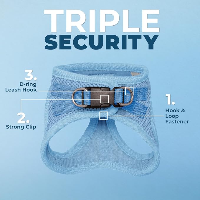 Voyager Step-in Pet Harness - All Weather Mesh, Adjustable Step in Harness for Cats and Dogs by Best Pet Supplies - Baby Blue, S (Chest 14-16")