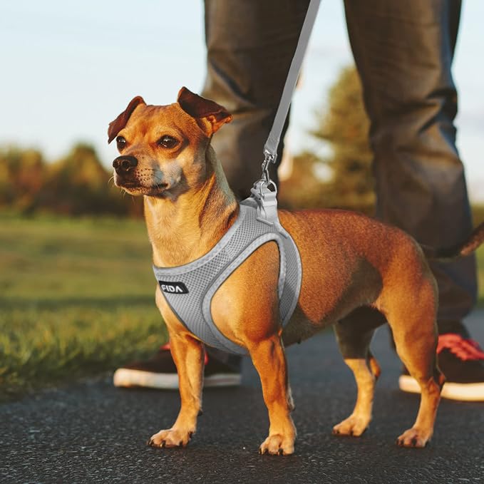 Fida Comfy Dog Harness with Leash, Soft Puppy Vest Escape Proof, Breathable Lightweight Soft Mesh, Adjustable Reflective Step-in Harness for Small & Medium Pet Walking (L, Grey)