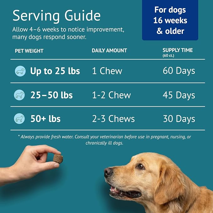 Dog Multivitamin Chews - Glucosamine, Probiotics, Salmon Oil, Mushroom Blend & Ashwagandha - Daily Dog Vitamins for Immune, Joint, Skin, Gut and Energy Support - Made in USA - 60 Count