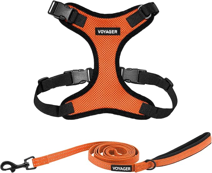 Best Pet Supplies Voyager Step-in Lock Pet Harness w Reflective Pet Leash Combo Set with Neoprene Handle 5ft - Supports Small, Medium and Large Breed Puppies/Cats - Orange/Black Trim, XS