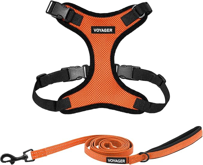 Best Pet Supplies Voyager Step-in Lock Pet Harness w Reflective Pet Leash Combo Set with Neoprene Handle 5ft - Supports Small, Medium and Large Breed Puppies/Cats - Orange/Black Trim Set, S