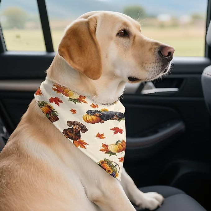 Jeiento Dachshund Dog Bandana Reversible Pet Scarf Bib Adjustable Maple Leaf Bandana Triangle Bibs, Polyester