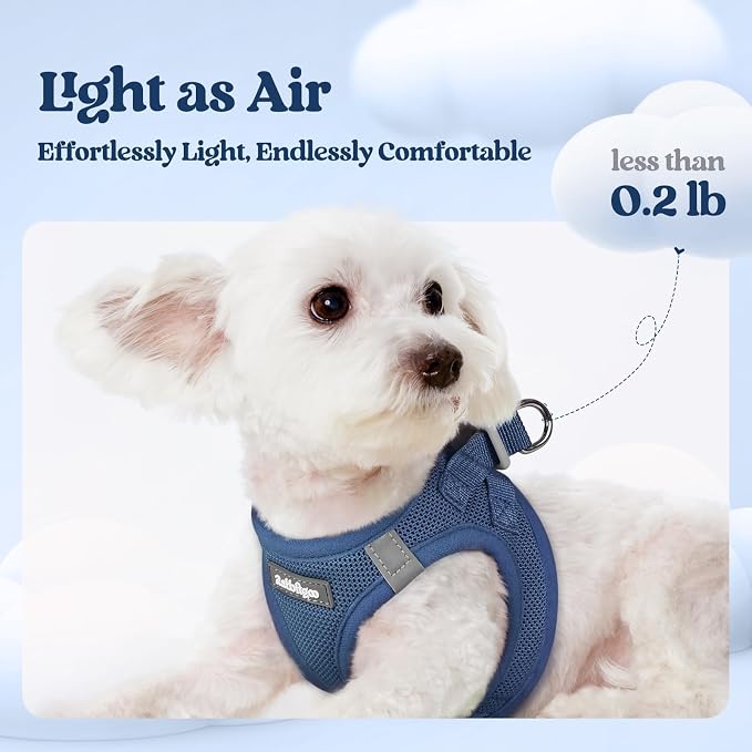 rabbitgoo Dog Harness Medium Sized and Leash Set, Step-in Puppy Pet Vest | Light, Soft, Breathable Air Mesh, Easy on and Remove with Hook & Loop, Secure Reflective for Walking, Navy Blue XL