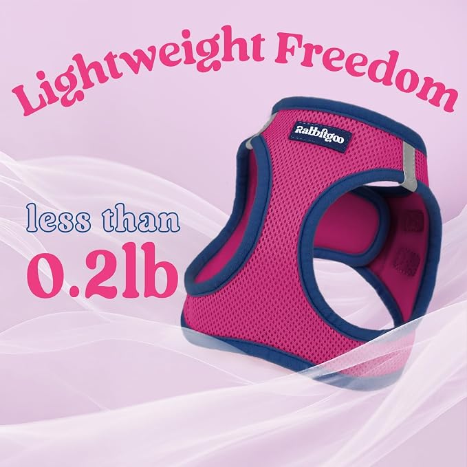 rabbitgoo Dog Harness Small Sized and Leash Set, Step in Soft Vest | Breathable Mesh, Easy Wear with Hook & Loop, Light and Reflective for Walking, Multi-colored, Rose Red & Navy Blue, XS