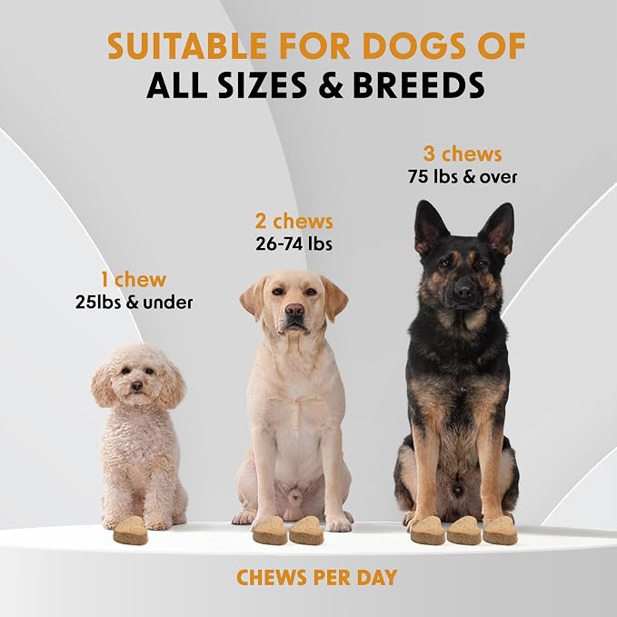 Omega 3 Supplements for Dogs Soft Chews (90 CT) – Skin & Coat Support + Itchy Skin Comfort – Wild Alaskan Salmon Oil + Biotin – Made in USA
