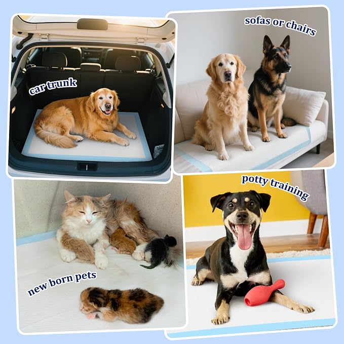 XXXXL & XL Pet Pads Combo
