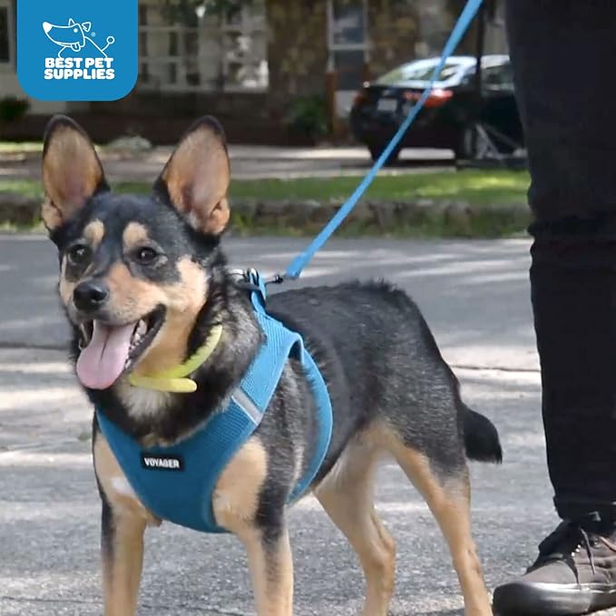 Voyager Step-in Air All Weather Mesh Harness and Reflective Dog 5 ft Leash Combo with Neoprene Handle, for Small, Medium and Large Breed Puppies by Best Pet Supplies - Blue, Medium