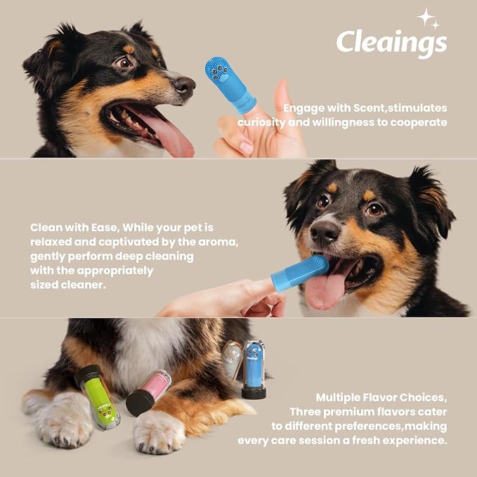 Pet Finger Toothbrush with Flavor Burst Beads, 360° Silicone Toothbrush Kit for Dogs & Cats, Deep Teeth Cleaning - 6 Pcs Chicken Flavor