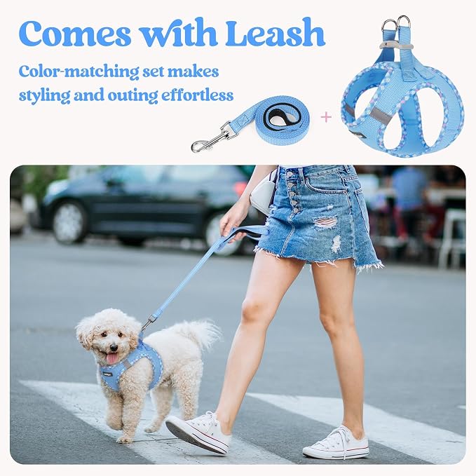 rabbitgoo Dog Harness Small Sized and Leash Set, Step-in Puppy Pet Vest | Light, Soft, Breathable Air Mesh, Easy on and Remove with Hook & Loop, Secure Reflective for Walking, Blue & Plaid Trim M