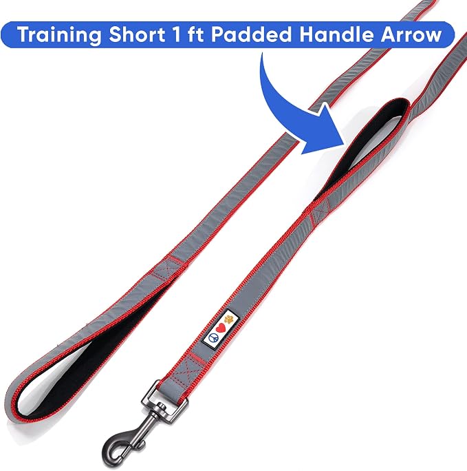 Pawtitas Double Handle Dog Leash Heavy Duty for Training No Pull Leashes Ideal for Medium and Large Dogs | Great for Walking, Running & Training Dog Leash - Medium/Large - Red