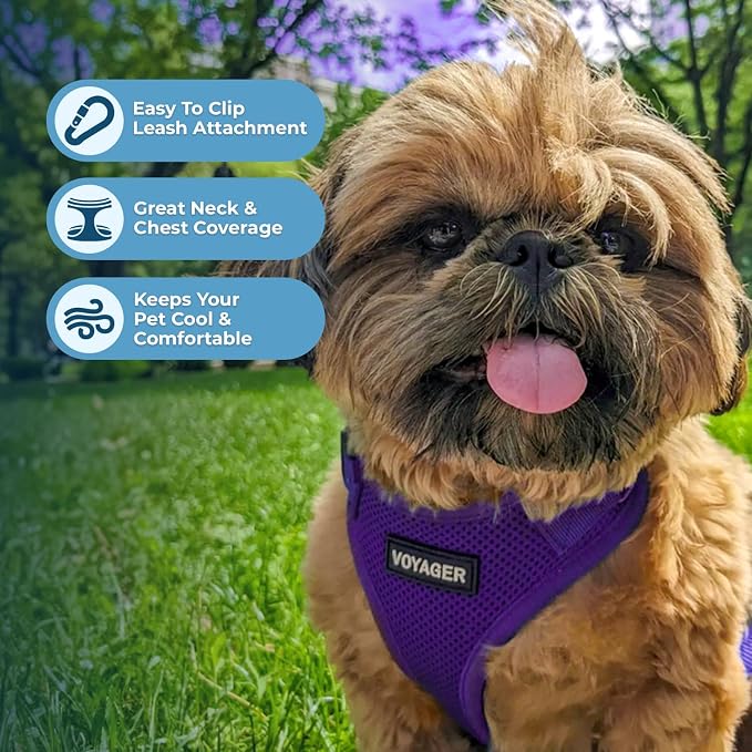 Voyager Step-in Lock Dog Harness - Purple, X-Small | 13 - 16" in Chest, Adjustable, Breathable Air Mesh, Lightweight for Daily Walks, Strong Clips, Heavy Duty D-Ring