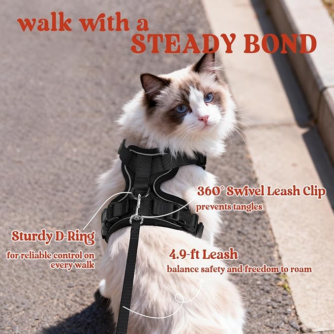 rabbitgoo Cat Harness and Leash Set, Escape Proof Vest, Black | Soft Breathable Mesh, Easy Adjustable Fit, Snap Buckles, Sturdy Clip, Reflective Strips, for Medium to Large Cats Walks, M