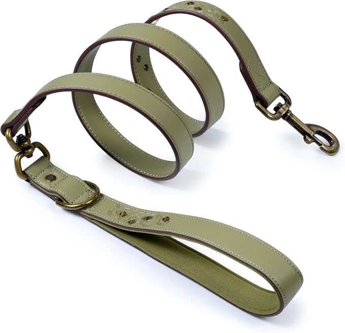 Blueberry Pet Premium Embossed Sage Green Glam Microfiber Leather Dog Leash with Antique Brass Studs