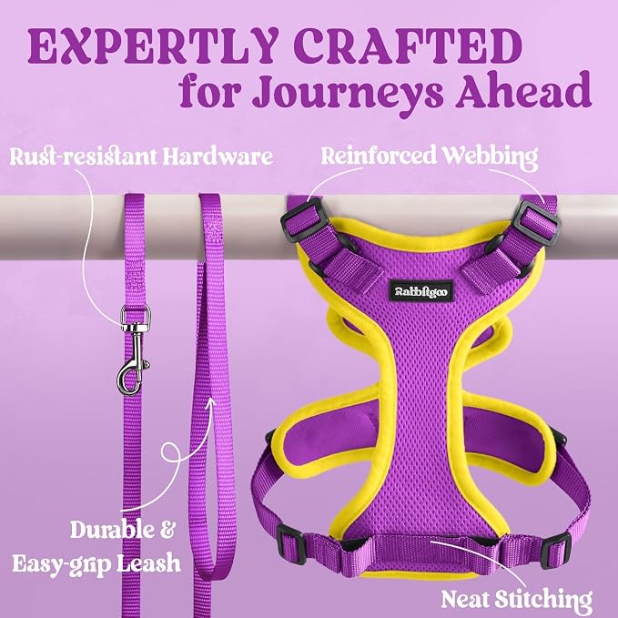 rabbitgoo Cat Harness and Leash Set, Escape Proof Vest, Purple & Yellow | Soft Breathable Mesh, Easy Adjustable Fit, Snap Buckles, Sturdy Clip, Reflective Strips, for Kittens & Small Cats Walks, Xxs