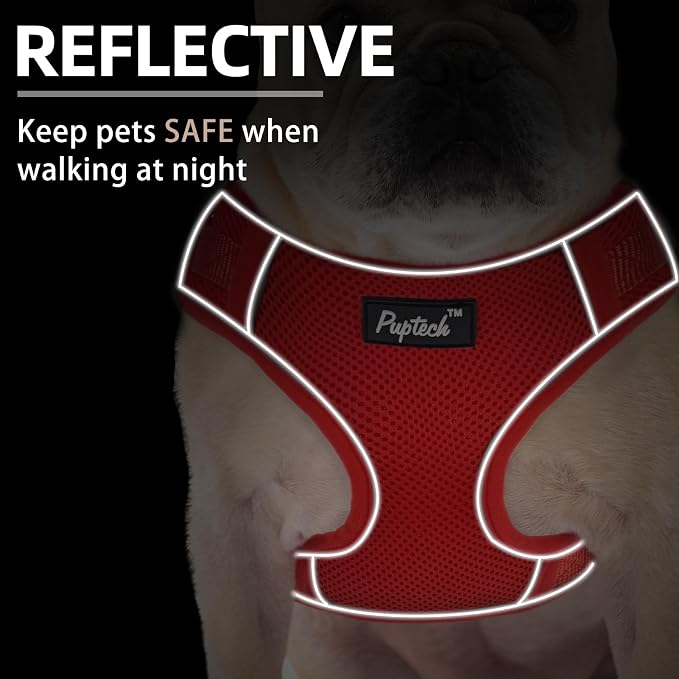 PUPTECK Small Dog Harness and Leash Set, No Pull Adjustable Puppy Cat Harness, Reflective Soft Mesh Pet Vest Small Sized, Red, M
