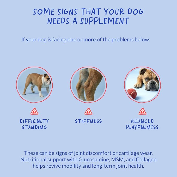Hip & Joint Max Strength Dogs - Collagen, Glucosamine & Fish Oil