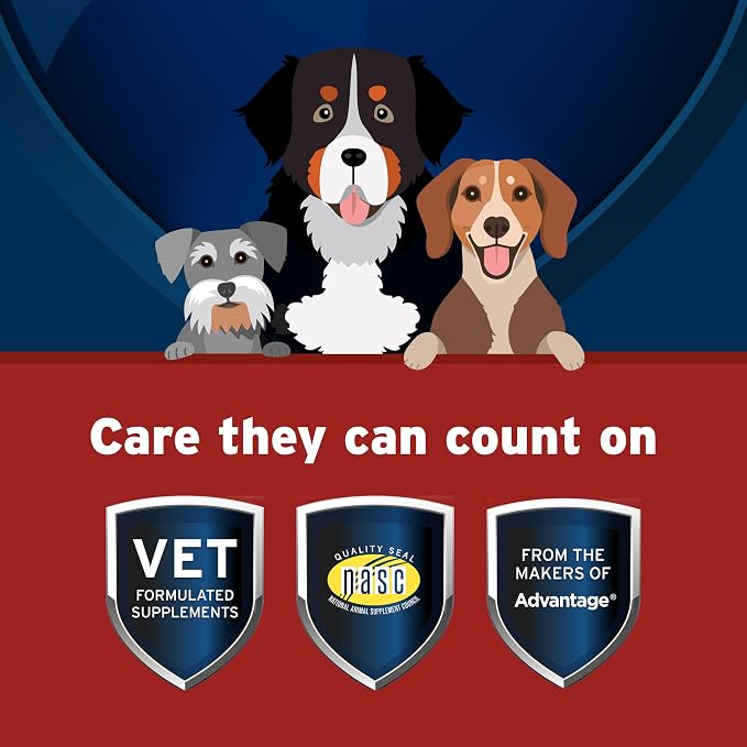 Pet Protect Hip & Joint+ Supplement for Dogs, Chicken Flavor 240ct
