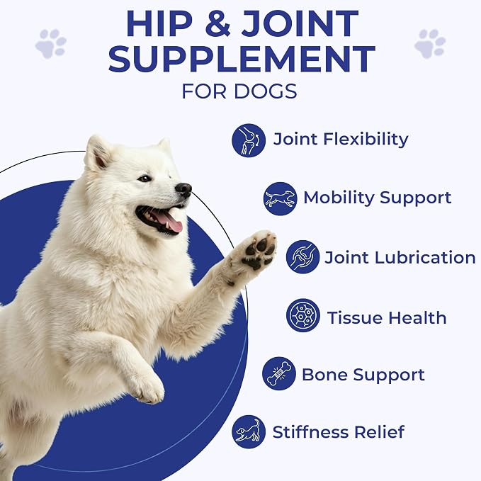 Hip & Joint Supplement for Dogs, Hip and Joint Chews Support Mobility, Senior Small All Breed Pain Relief with Glucosamine Chondroitin MSM Turmeric Green Lipped Mussel, Chicken Flavor, 15 Ct